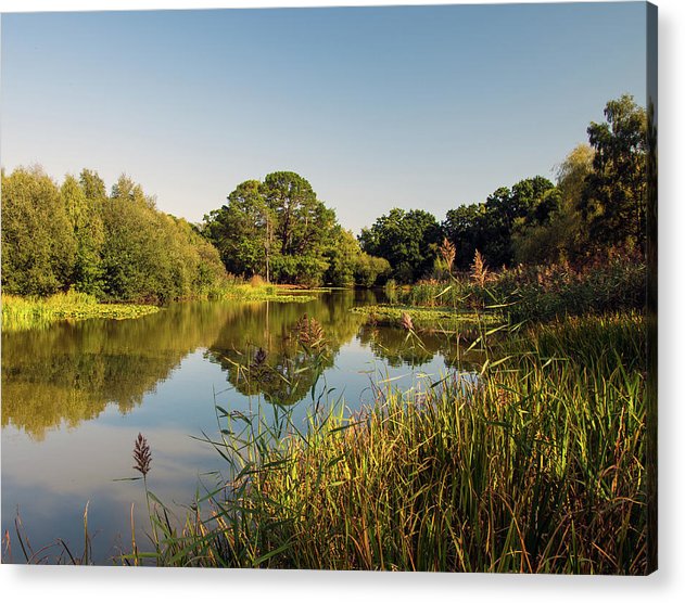 Southampton Ornamental Pond - Acrylic Print