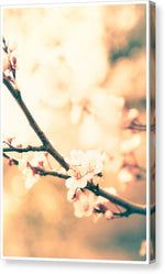 Load image into Gallery viewer, Spring Buds - Canvas Print
