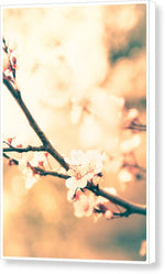 Load image into Gallery viewer, Spring Buds - Canvas Print

