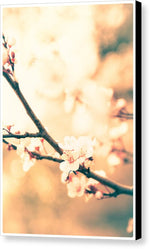 Load image into Gallery viewer, Spring Buds - Canvas Print
