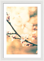 Load image into Gallery viewer, Spring Buds - Framed Print
