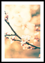 Load image into Gallery viewer, Spring Buds - Framed Print
