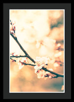 Load image into Gallery viewer, Spring Buds - Framed Print

