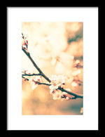 Load image into Gallery viewer, Spring Buds - Framed Print
