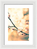 Load image into Gallery viewer, Spring Buds - Framed Print
