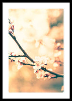 Load image into Gallery viewer, Spring Buds - Framed Print
