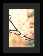 Load image into Gallery viewer, Spring Buds - Framed Print
