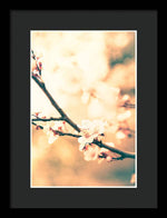Load image into Gallery viewer, Spring Buds - Framed Print
