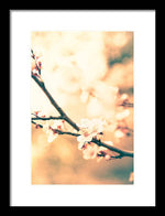 Load image into Gallery viewer, Spring Buds - Framed Print
