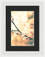 Load image into Gallery viewer, Spring Buds - Framed Print
