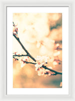 Load image into Gallery viewer, Spring Buds - Framed Print
