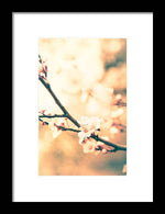 Load image into Gallery viewer, Spring Buds - Framed Print
