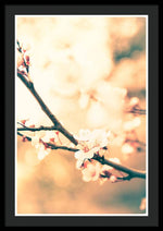 Load image into Gallery viewer, Spring Buds - Framed Print
