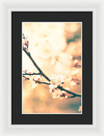 Load image into Gallery viewer, Spring Buds - Framed Print
