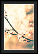 Load image into Gallery viewer, Spring Buds - Framed Print
