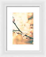 Load image into Gallery viewer, Spring Buds - Framed Print
