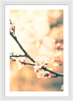 Load image into Gallery viewer, Spring Buds - Framed Print
