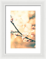 Load image into Gallery viewer, Spring Buds - Framed Print
