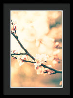 Load image into Gallery viewer, Spring Buds - Framed Print
