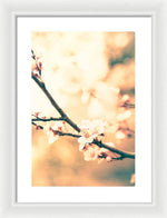 Load image into Gallery viewer, Spring Buds - Framed Print
