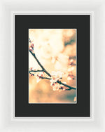 Load image into Gallery viewer, Spring Buds - Framed Print
