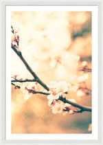 Load image into Gallery viewer, Spring Buds - Framed Print
