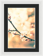 Load image into Gallery viewer, Spring Buds - Framed Print
