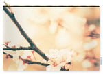 Load image into Gallery viewer, Spring Buds - Carry-All Pouch

