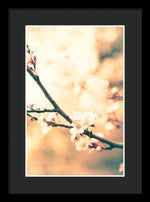 Load image into Gallery viewer, Spring Buds - Framed Print
