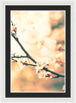 Load image into Gallery viewer, Spring Buds - Framed Print
