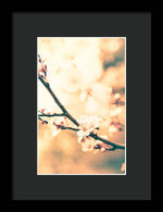 Load image into Gallery viewer, Spring Buds - Framed Print
