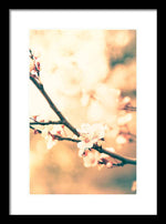 Load image into Gallery viewer, Spring Buds - Framed Print
