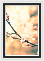 Load image into Gallery viewer, Spring Buds - Framed Print
