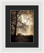 Load image into Gallery viewer, Step up to the little house - Framed Print
