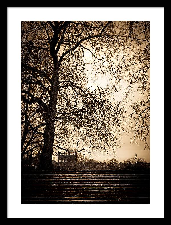 Step up to the little house - Framed Print