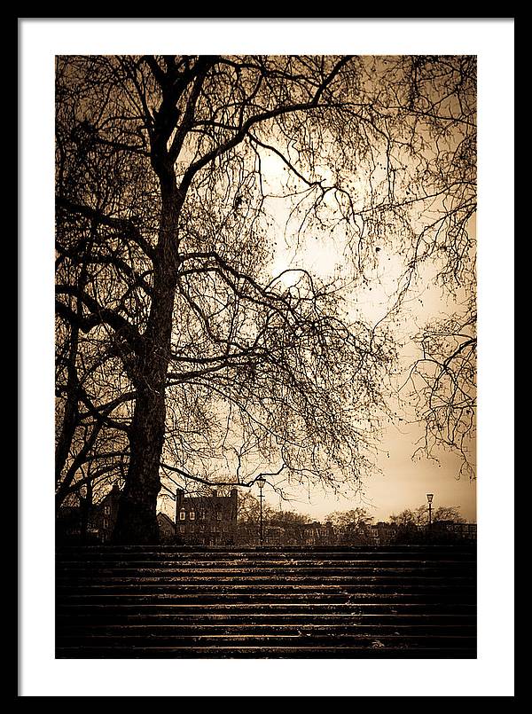 Step up to the little house - Framed Print