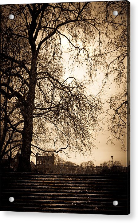 Step up to the little house - Acrylic Print