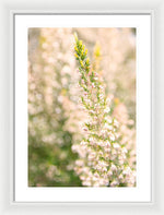 Load image into Gallery viewer, Summer Bells - Framed Print
