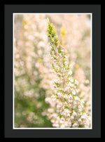 Load image into Gallery viewer, Summer Bells - Framed Print
