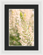Load image into Gallery viewer, Summer Bells - Framed Print
