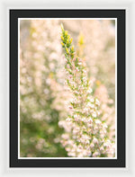 Load image into Gallery viewer, Summer Bells - Framed Print
