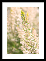Load image into Gallery viewer, Summer Bells - Framed Print
