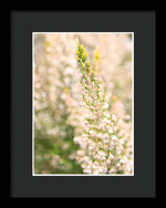 Load image into Gallery viewer, Summer Bells - Framed Print
