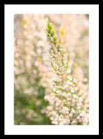 Load image into Gallery viewer, Summer Bells - Framed Print
