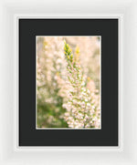 Load image into Gallery viewer, Summer Bells - Framed Print
