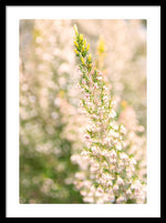 Load image into Gallery viewer, Summer Bells - Framed Print
