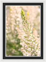 Load image into Gallery viewer, Summer Bells - Framed Print
