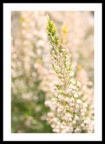 Load image into Gallery viewer, Summer Bells - Framed Print
