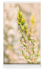 Load image into Gallery viewer, Summer Bells - Yoga Mat
