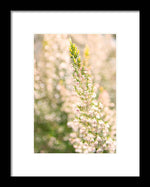 Load image into Gallery viewer, Summer Bells - Framed Print
